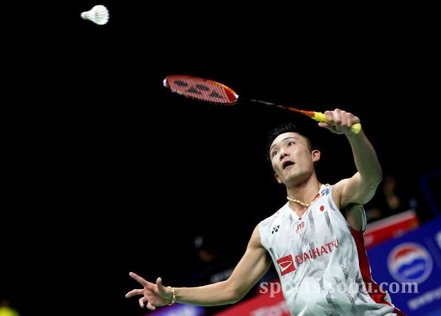 我們看到了 我們看到了