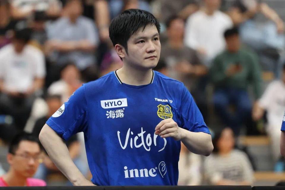 拥有扎实的 拥有扎实的