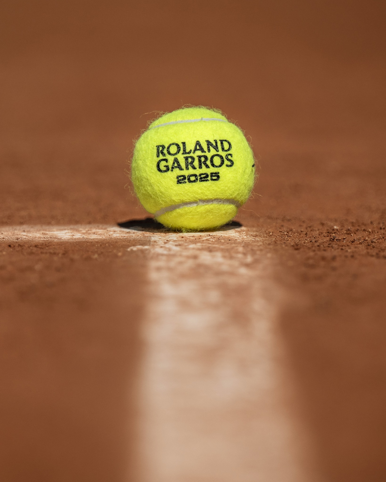 他们凭借出 他们凭借出