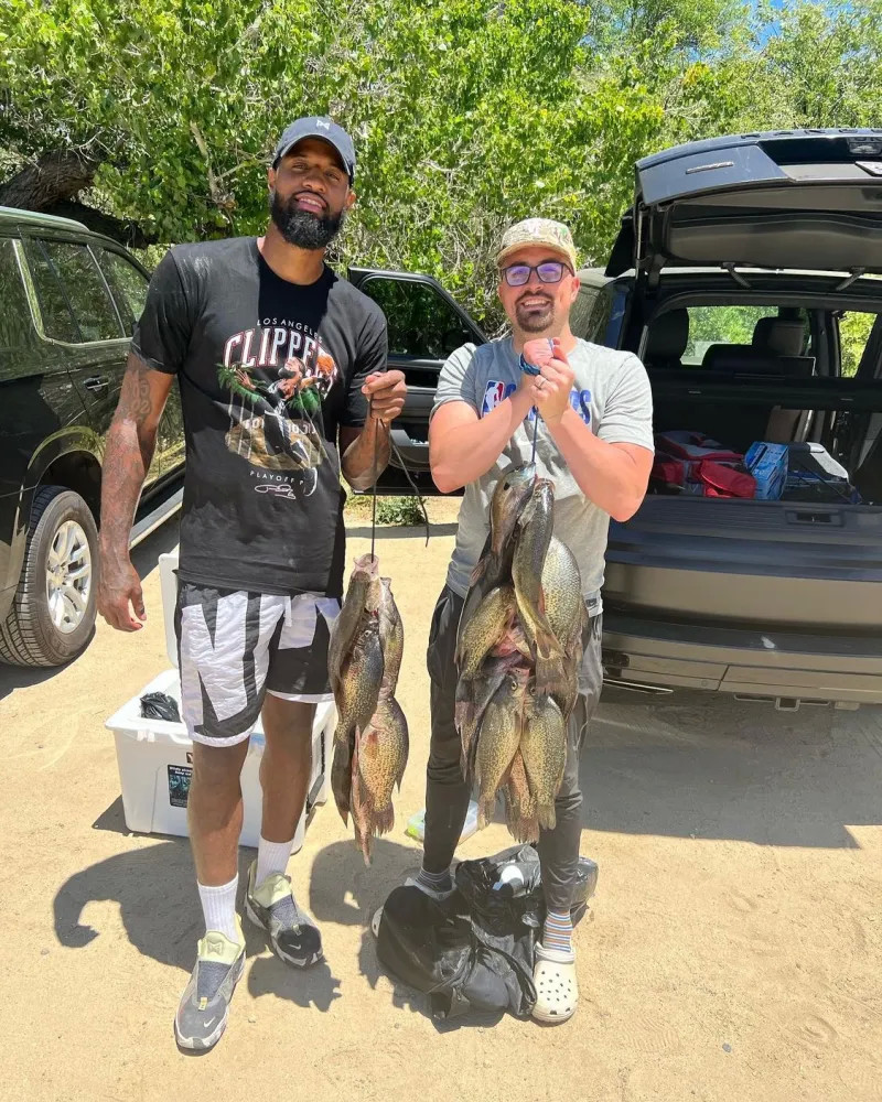 确定性极高 确定性极高